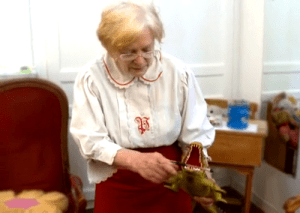 Operazione mamma coccodrillo