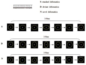 autismo ricerca cambiamenti visivi