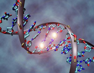 metilazione dna autismo