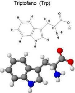 Triptofano autismo