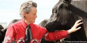 temple grandin autismo e animali