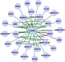 ADNP gene autismo ricerca
