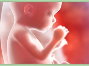 testosterone autismo